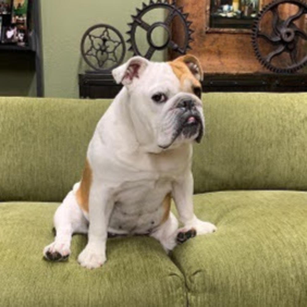 Meet your Posher, Rachel